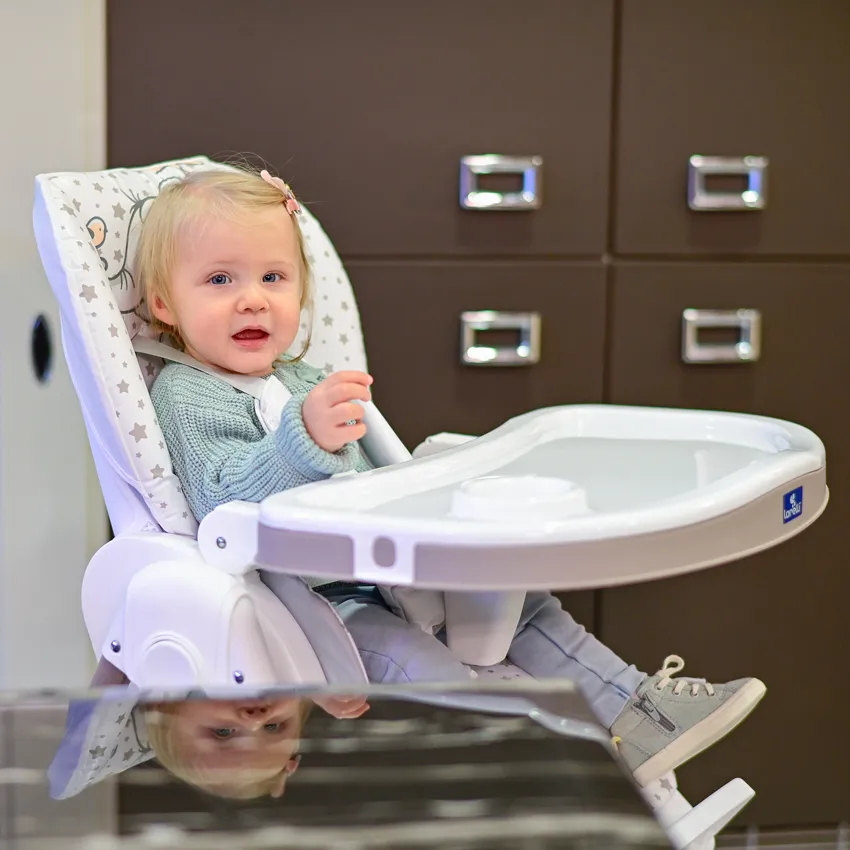 Дитячий стільчик для годування Lorelli Felicita Baby Blue Pilot